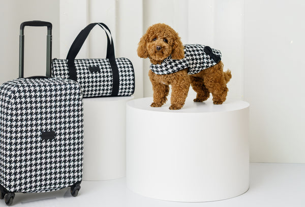 ДРЕШКА ЗА КУЧЕ