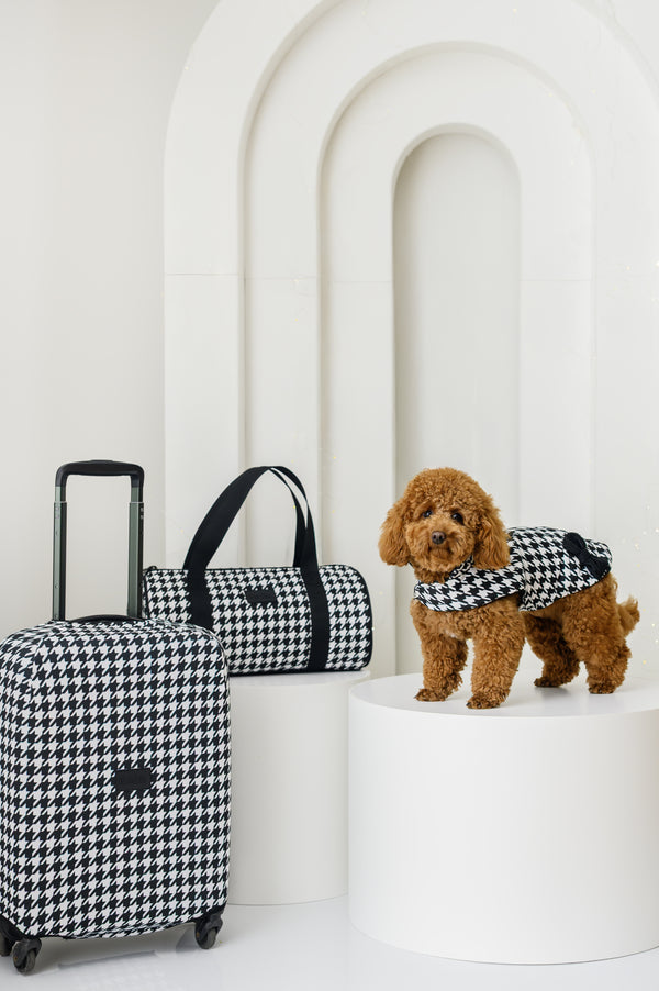 ДРЕШКА ЗА КУЧЕ