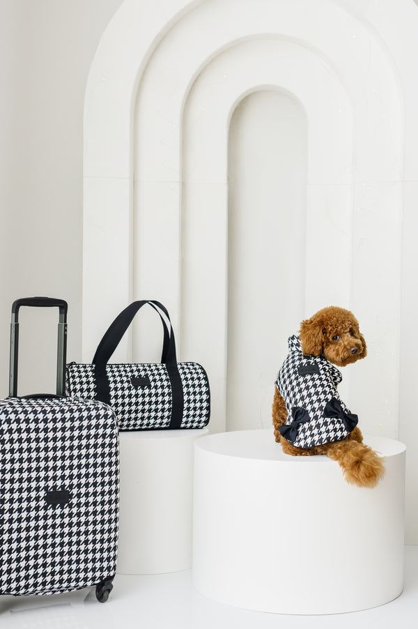 ДРЕШКА ЗА КУЧЕ