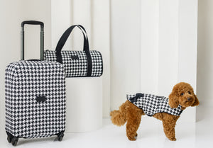 ДРЕШКА ЗА КУЧЕ