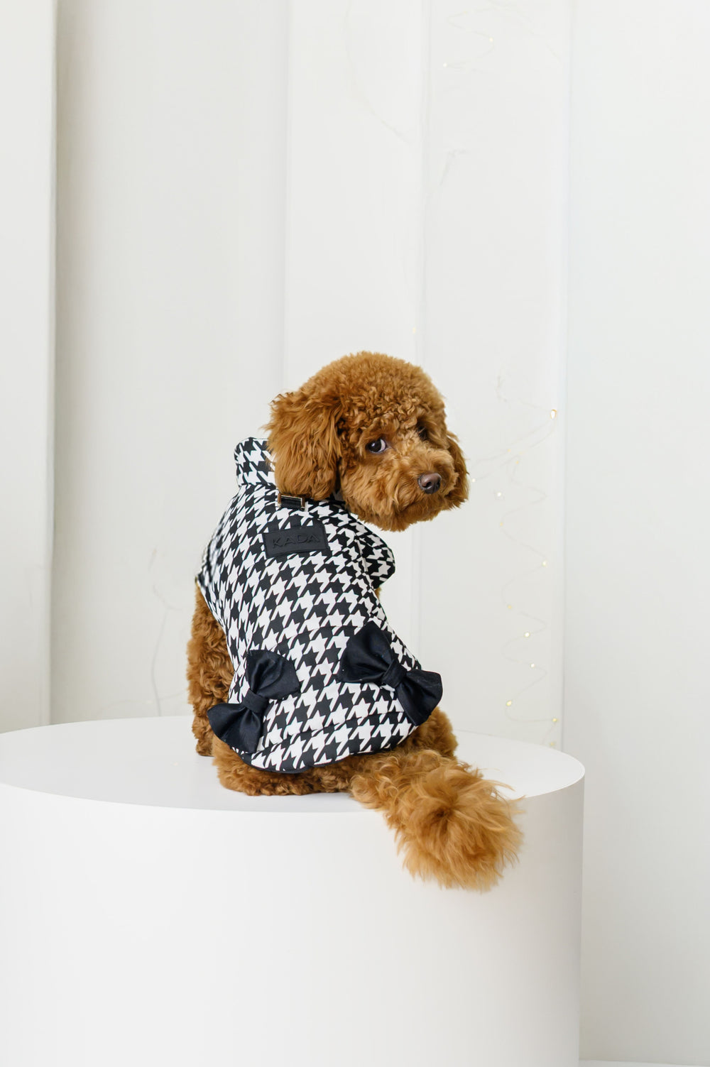 ДРЕШКА ЗА КУЧЕ